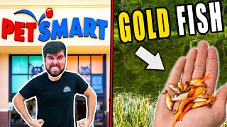 KICKED OUT OF PET-SMART for BUYING ALL THEIR FISH! 500+
