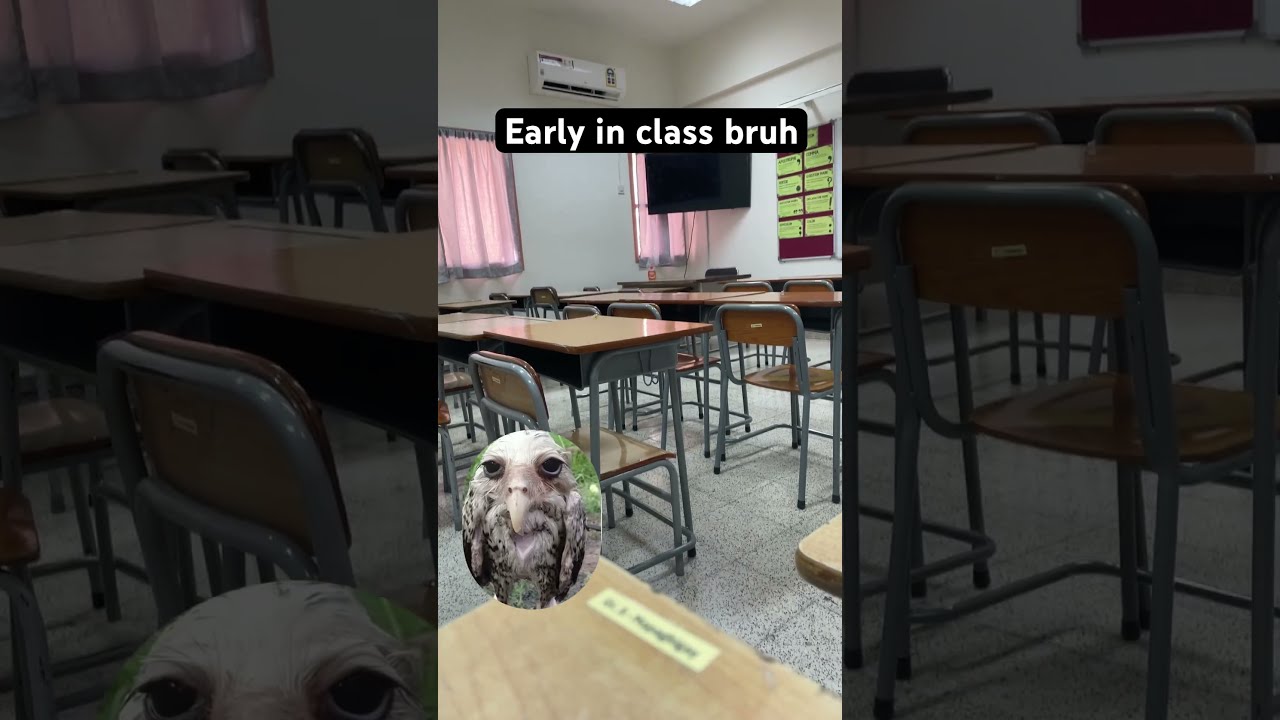 Someon Help Me School Bored