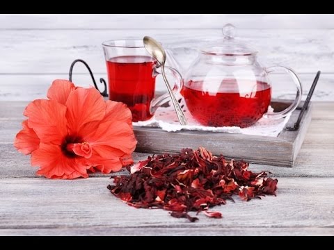 Como fazer chá de hibisco para emagrecer e fortalecer o sistema imunológico