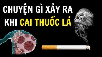 Tác Hại Của Thuốc Lá Ảnh Hưởng Đến Cơ Thể Như Thế Nào? 5 Phút Hiểu