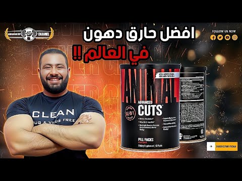 انيمال كتس ادفانسد في ثوبه الجديد