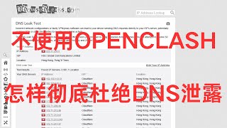 以最常用的Pwall和Homeproxy为例介绍如何使用Mosdns配合科学上网插件做到避免Dns泄露