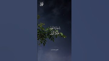 ادْخُلُوا الْجَنَّةَ🤍 -القارئ محمد دياب