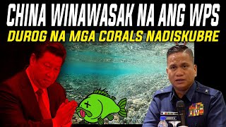 🔴CHINA WINASAK ANG WPS❗ MGA PATAY AT DUROG NA CORALS ITINAMBAK NG CHINA SA PAG ASA CAY NADISKUBRE❗