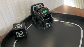 Vector Robot How do you reset the Vector