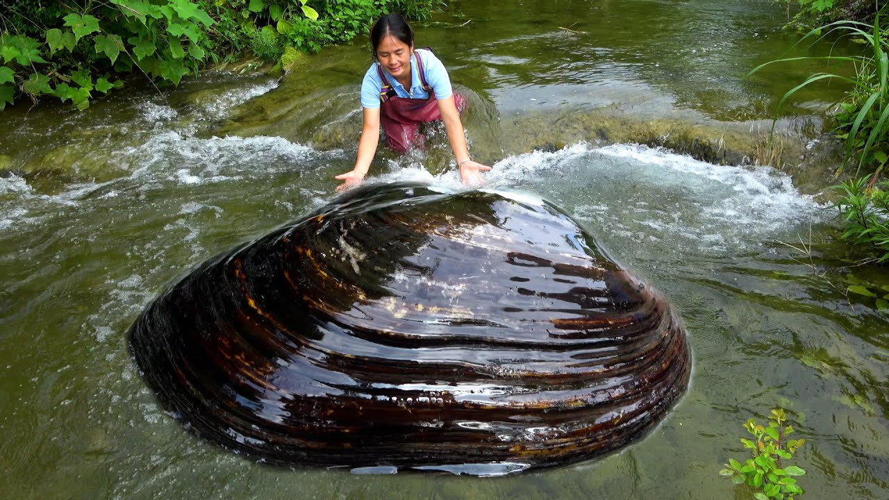 It seems like water has just started to rise here, and there are a lot of pearl clams