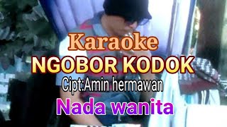 Download lagu Karaoke NGOBOR KODOK - Nada Wanita