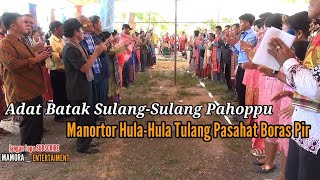 Adat Batak Sulang-Sulang Pahoppu Manortor Hula-Hula Pasahat Boras Pir