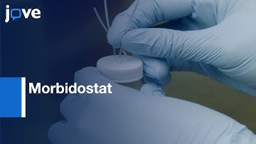 Morbidostat for Adaptive Evolution of Bacteria | Protocol Preview