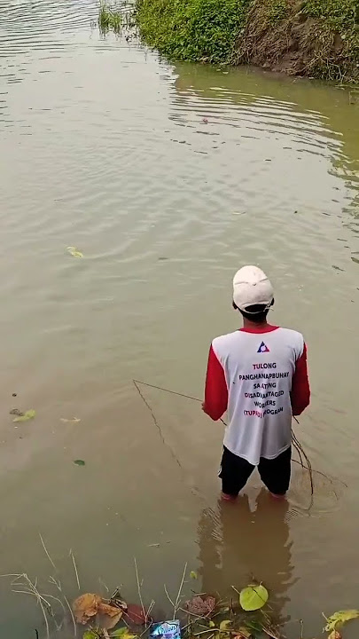 mayhuli na sila😱#youtubeshorts #fishing