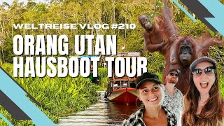 Wilde Orang-Utans auf Borneo - Hausboot Tour im Tanjung Puting Nationalpark - INDONESIEN 🇮🇩