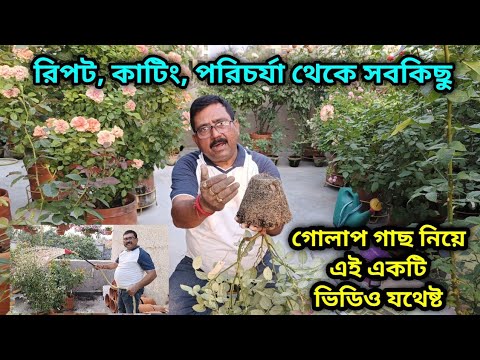 ভিডিও: রাজনীতিবিদ Giulieto Chiesa অনুযায়ী বিশ্বের শীর্ষ-9 শাসক