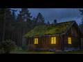 LIVE ☔Gentle Night RAIN - Rain Sounds For Sleeping -98% Sleep FAST & Beat Insomnia, White Noise