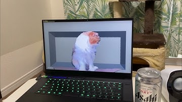 Holo Cat: Perspective Expression Based on Head Tracking