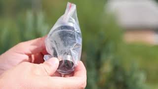 Bateria De Bucătărie Slovarm Care Impresionează De La Primul Detaliu