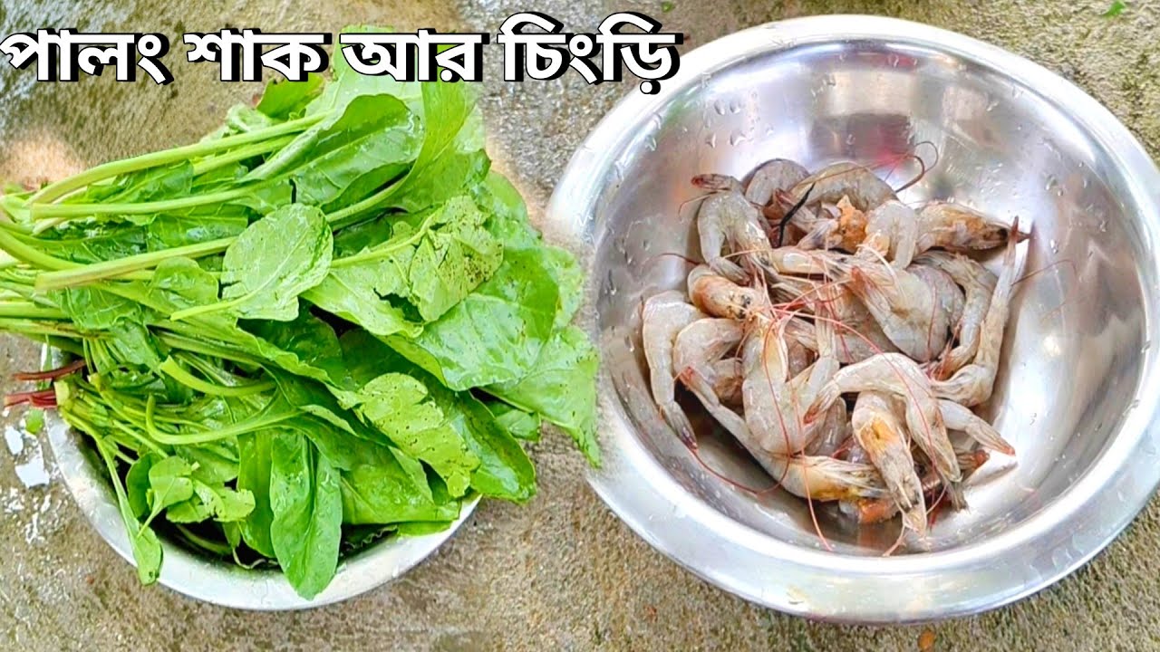 আজ আমি পালং শাক আর চিংড়ি রান্না করলাম 😀 | Palong Shak Recipe in Bengali | Sb Solo Travel 