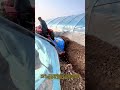 高性能トラクタートレンチャー - 効率的な農場溝掘り：水道管と点滴灌漑プロジェクト用のミニトレンチャー トラクターアタッチメントで灌漑溝を掘る方法