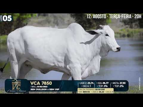 LOTE 05   VCA 7850