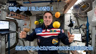 最後の「こうのとり」で届けられた生鮮食品たち！ ～宇宙へ届け！地上の香り！～