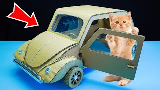 How To Make A Kitten A Toy Car Out Of Cardboard - Animals Design
