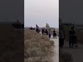 بجروحك هم روحك نوصل لاربعينك مشاية الاربعين مسيرة العشق الحسيني المليونية