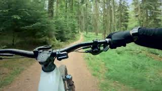 Forest Of Dean: Verderers Trail (Full)