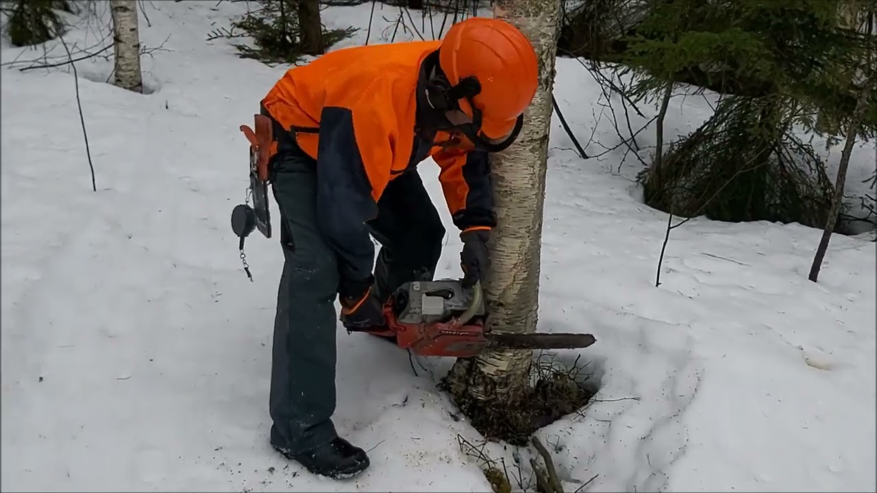 Raket 621 Moottorisaha Metsässä!