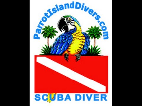 PADI Dive Table 102 Maximum Allowable Bottom Time -- Tutorial with Scuba Marcos