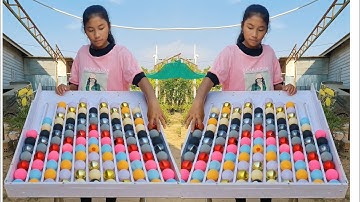 Sharpen Your Mind: Play These Brain Training Games Today! Sort Puzzle Game challenge Brian Training