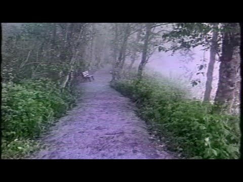 In the Deep Forest!!!