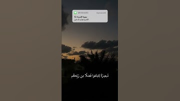 القارئ هيثم الدخين || سورة الإسراء 12