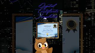 12 Digital Certificate Templates with MOST REQUESTED BEGINNER BUNDLE (2-in-1)