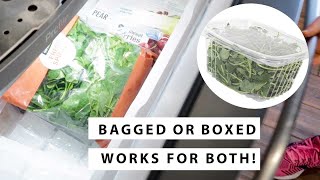 How to Freeze Spinach | NO Blanching | Short-term Storage