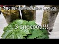 Виноградные листья 3 простых способа заготовки на зиму .