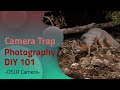 Camera Trap Photography 101 | DSLR Camera Trap DIY