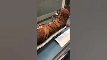 Cleopatra Mummy 