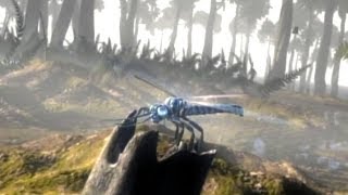 Meganeura  Giant Dragonfly