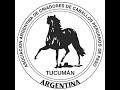 trancas