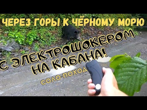 Брусята Грибы Фото