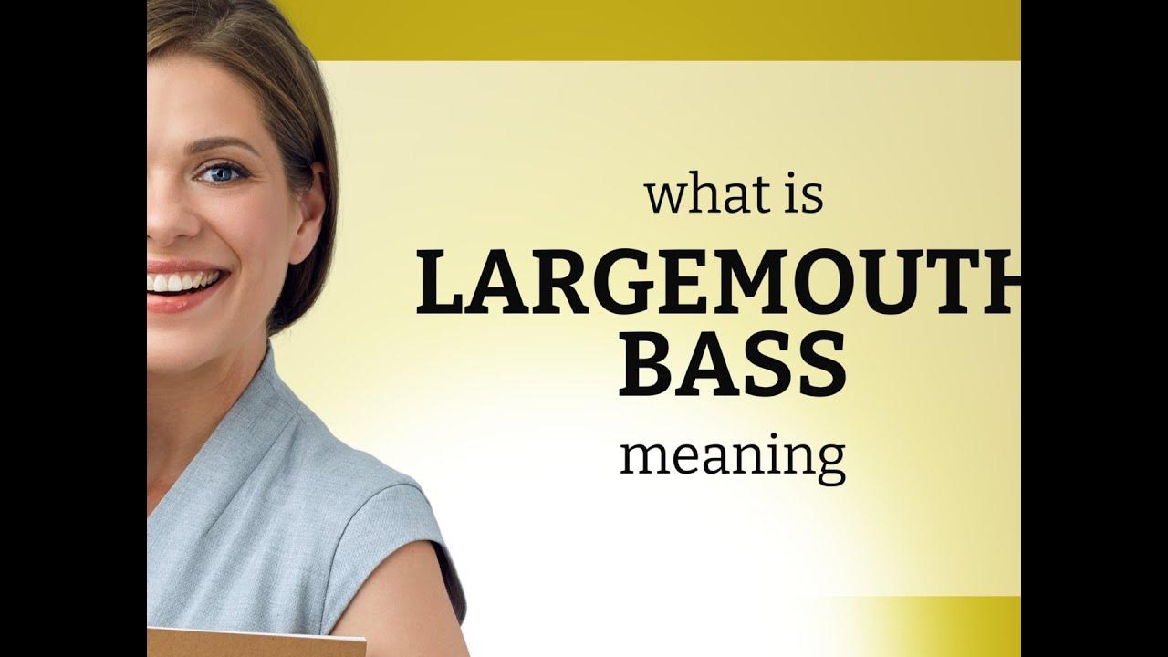 Largemouth bass what is LARGEMOUTH BASS meaning YouTube
