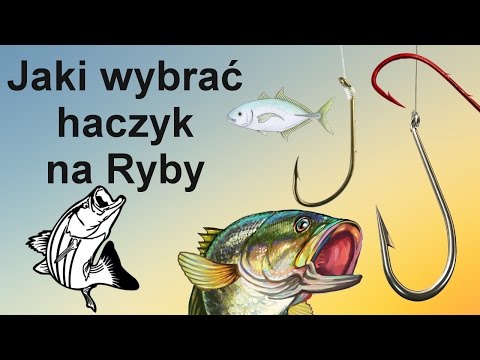 Wideo: Jakie Haczyki Są Używane Do Połowu Karasia