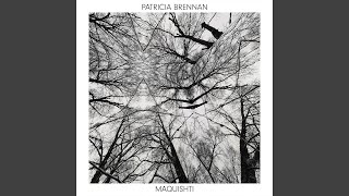 Sonnet - Patricia Brennan