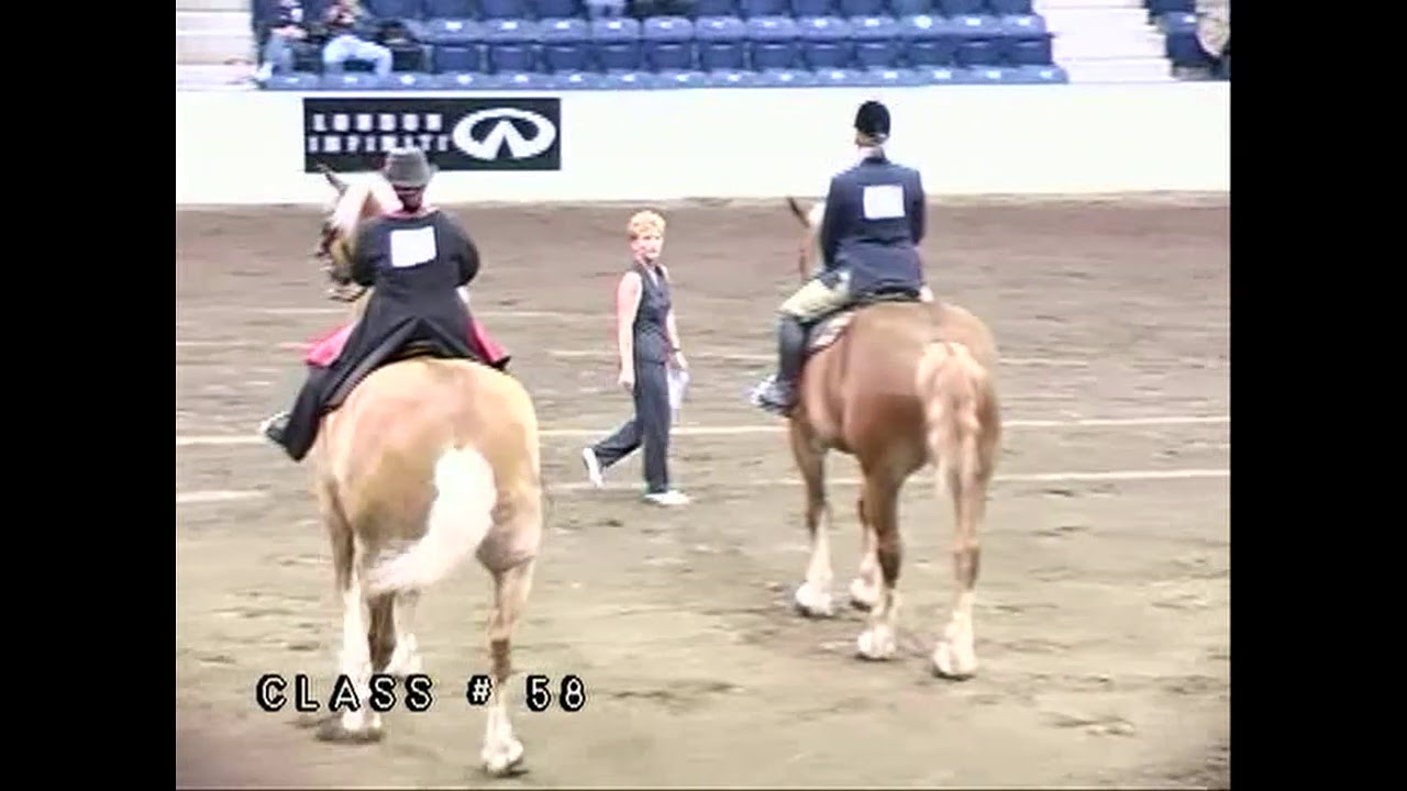 NABC V - Class 58 Draft Horse Under Saddle English