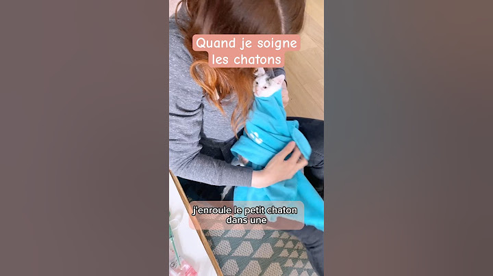 Comment je fais les soins aux chatons 🐱 #chatons #chatmalade #absolumentchats