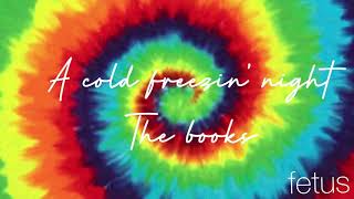 The Books- A Cold Freezin' Night // lyrics - fetus