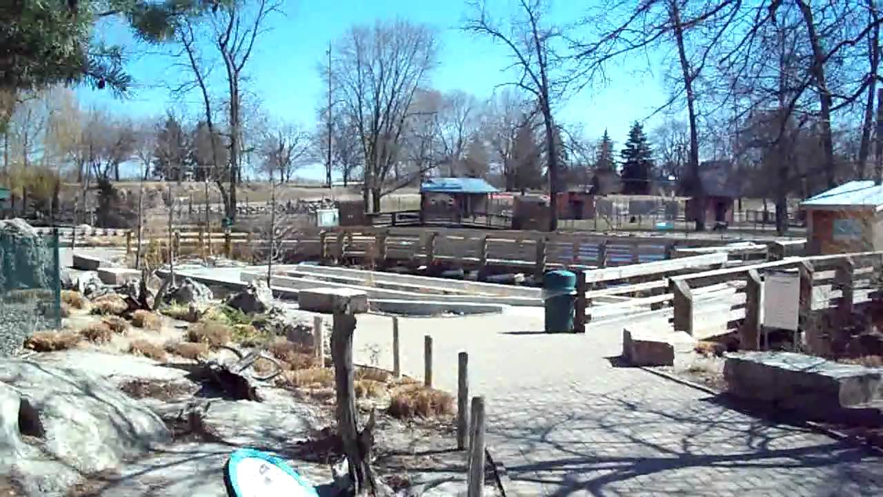 Saginaw children zoo vedio YouTube