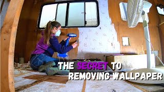 HOW TO REMOVE WALLPAPER IN OUR VINTAGE TOYOTA DOLPHIN CAMPER VAN || RV Gut and Remodel by Kiki's Adventures 798 views 3 years ago 3 minutes, 27 seconds