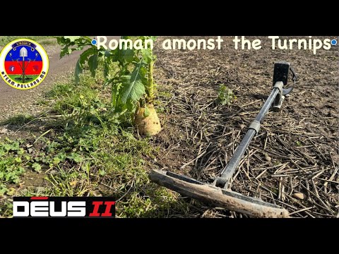 roman silvers found metal detecting uk with xp deus 2 - YouTube