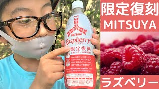 【限定復刻】三ツ矢ラズベリーテイストって美味しいの？1990年に販売