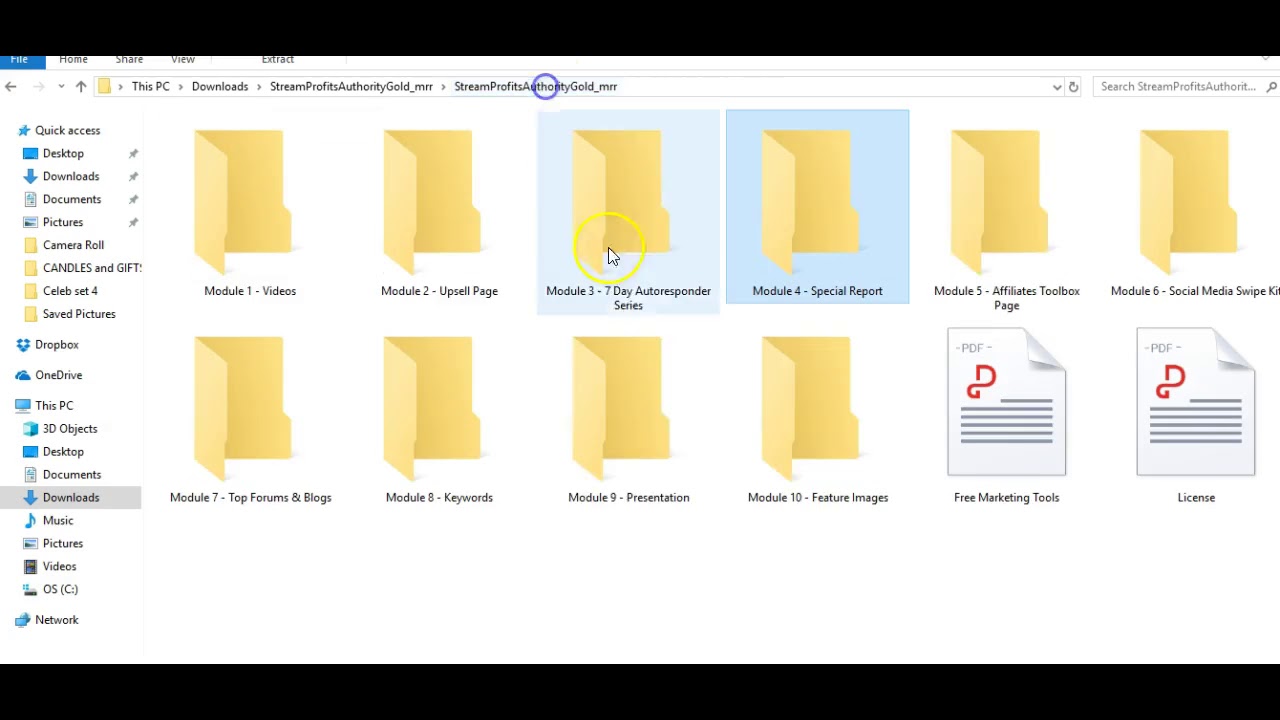 Streaming Profits Authority GOLD-The Wholesale PLR Store Preview - YouTube